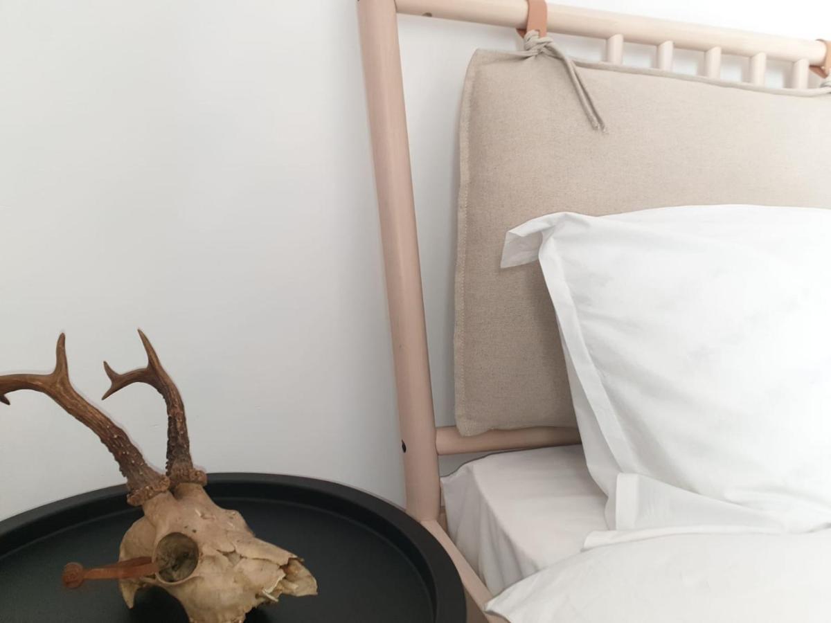 Suite Life Brasov Coresi Εξωτερικό φωτογραφία